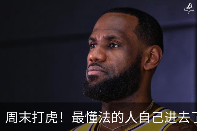 周末打虎！最懂法的人自己进去了，真让人笑话
