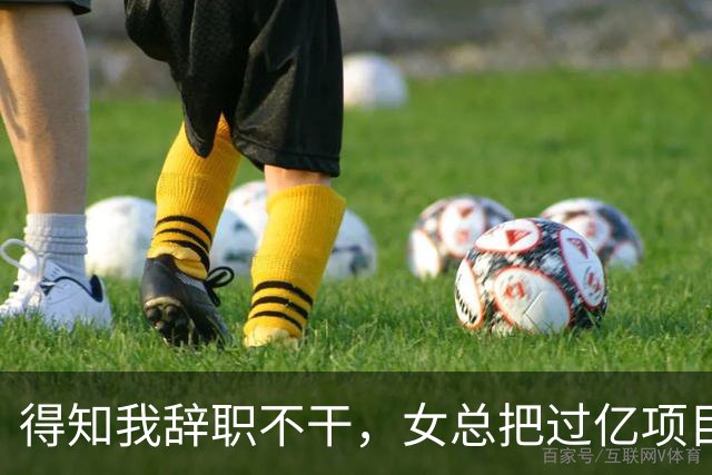 得知我辞职不干，女总把过亿项目给了新男助理，半小时后大投资人踹开门怒吼：数字都算错还敢要钱？
