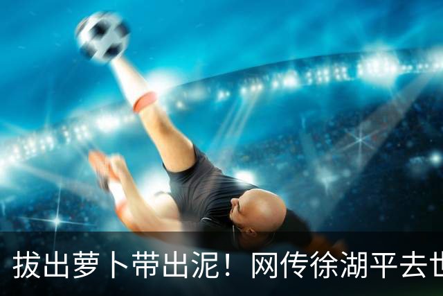 拔出萝卜带出泥！网传徐湖平去世，竟再次将南京博物院给拉下水