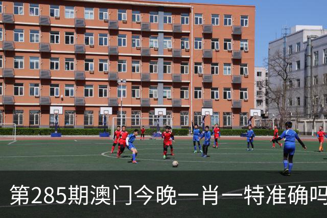 第285期澳门今晚一肖一特准确吗？新六合彩正版资料，玄机测字图，今天晚上澳门内部资料白小姐资料大全今天澳门玄机测字是什么生肖