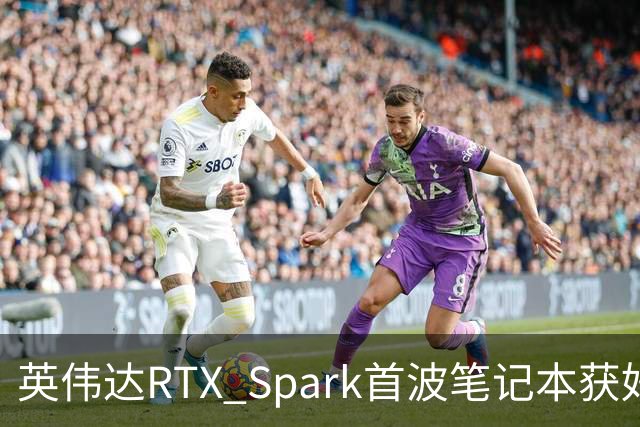 英伟达RTX Spark首波笔记本获好评，但续航成了问号
