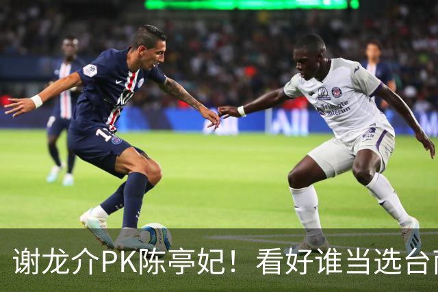 谢龙介PK陈亭妃！看好谁当选台南市长？网络投票结果超意外